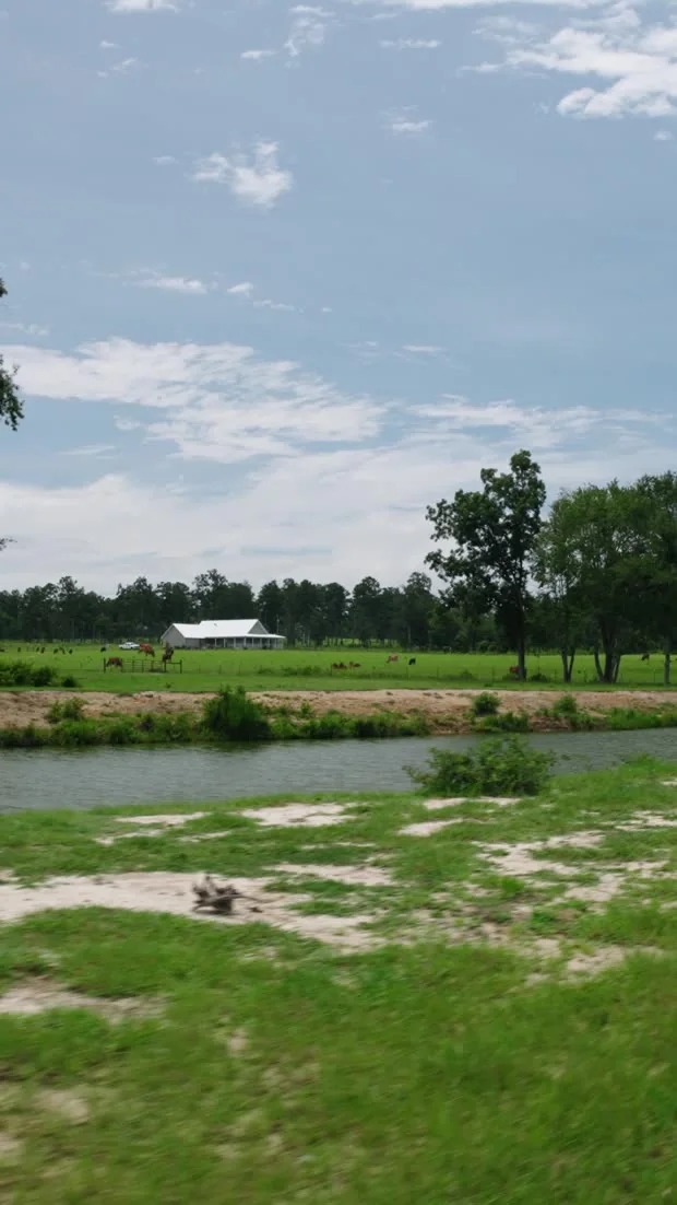 201 acres Brooks County reel