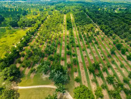 Aerial view of the property