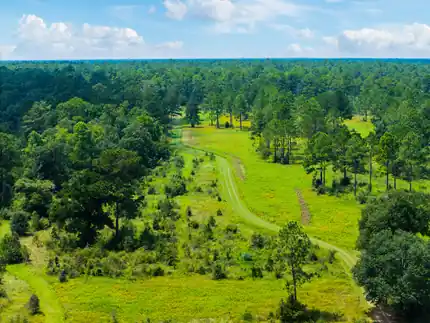 Aerial view of the property