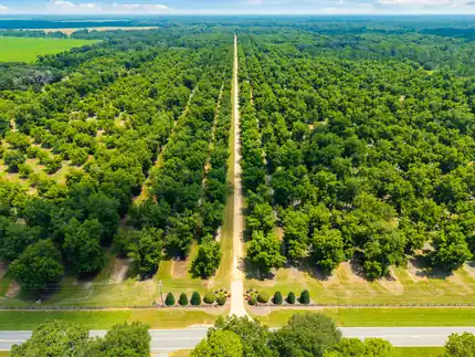 Aerial view of the property