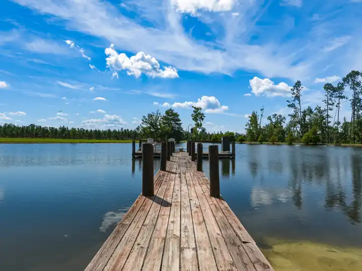 Dock reaching out over a private pond