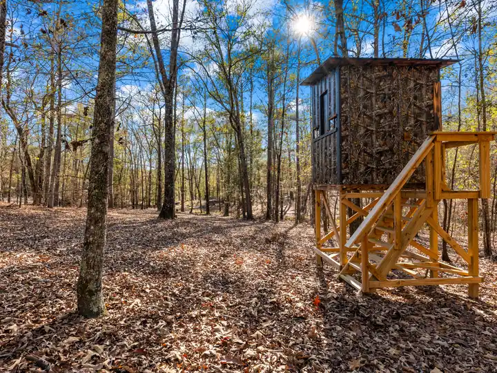 Elevated deer stand in autumn woods