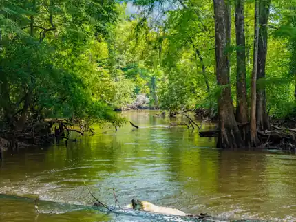 Land and recreation feature